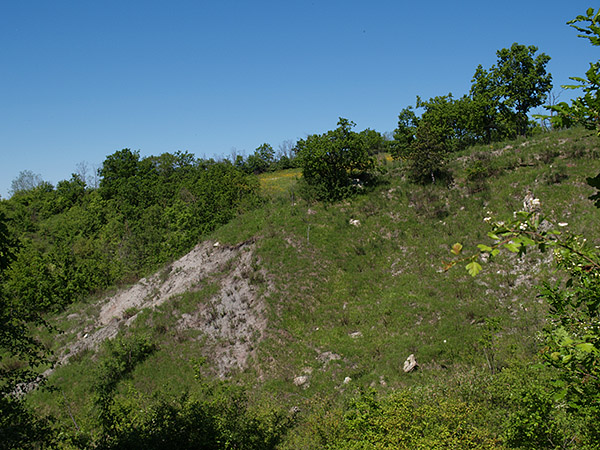 Oasi naturalistica del Carmine